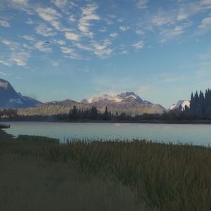 Meet your Posher, Jackson